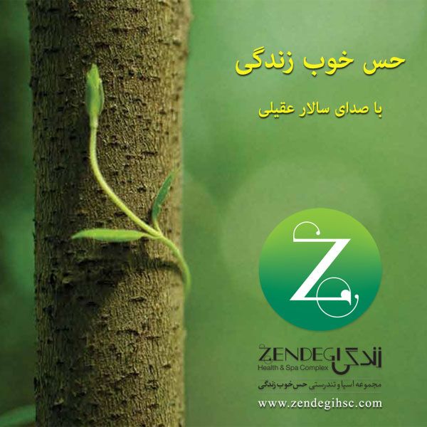 متن آهنگ حس خوب زندگی از سالار عقیلی