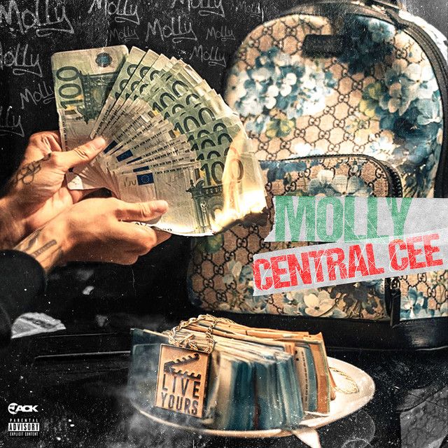 کاور آهنگ Molly از Central Cee