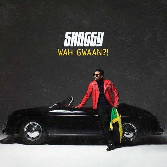 متن آهنگ You از Shaggy