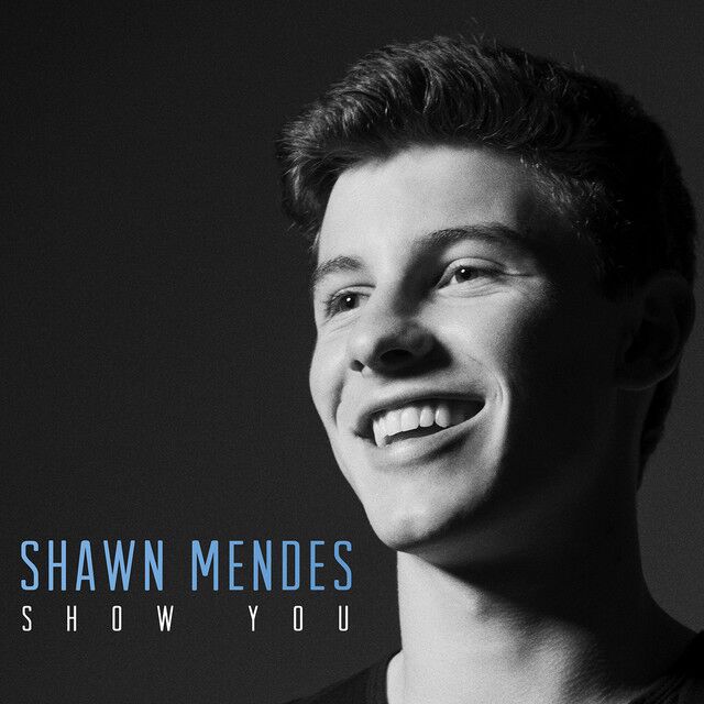 متن آهنگ Show You از Shawn Mendes کاور آهنگ Show You از Shawn Mendes