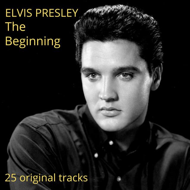 متن آهنگ Any Way You Want Me (That's How I Will Be) از Elvis