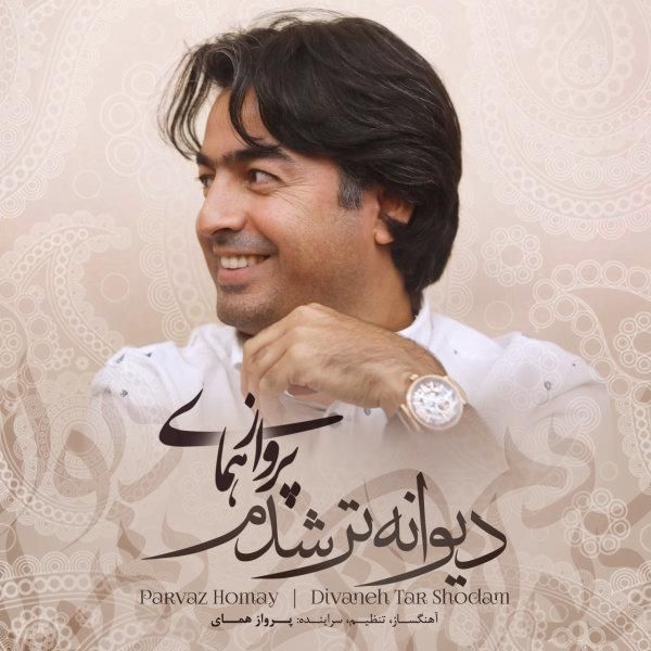 متن آهنگ دیوانه تر شدم از پرواز همای