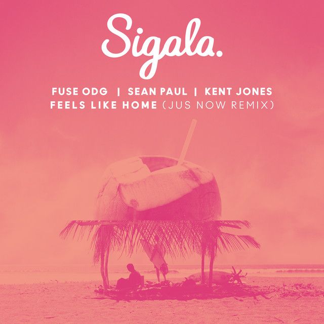 متن آهنگ Feels Like Home - Jus Now Remix از Sean Paul