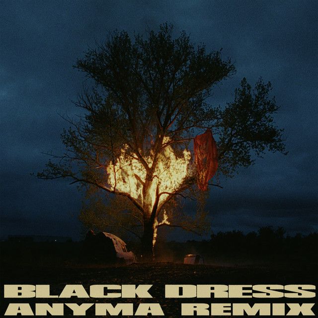 متن آهنگ Black Dress - Anyma Remix از Anyma