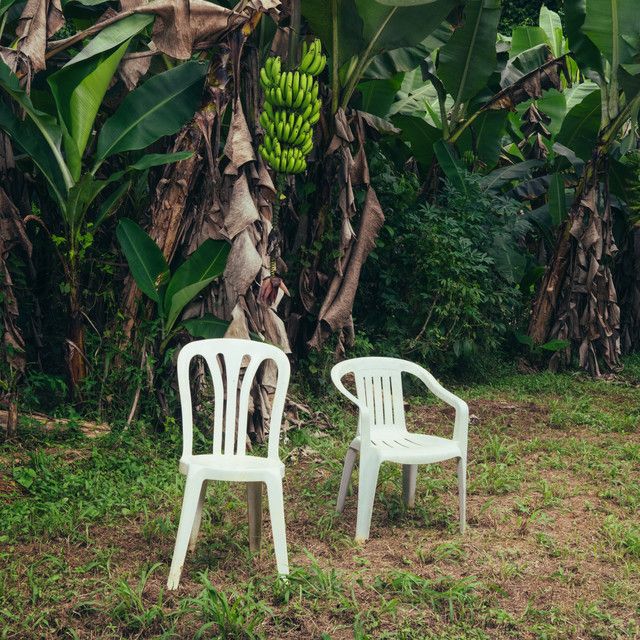 کاور آهنگ TURiSTA از Bad Bunny