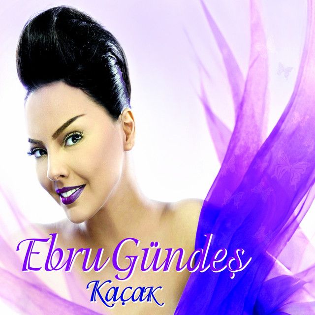 متن آهنگ Hayatta Başarılar Diliyorum از Ebru Gündeş