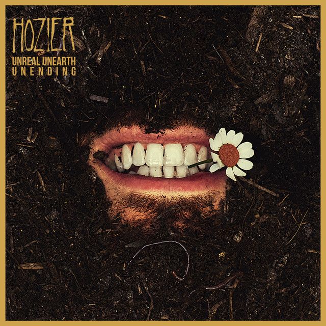 متن آهنگ Damage Gets Done از Hozier کاور آهنگ Damage Gets Done از Hozier