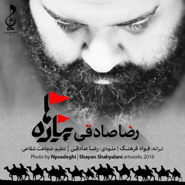 کاور آهنگ پیاده ها از رضا صادقی