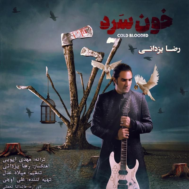 متن آهنگ خون سرد از رضا یزدانی