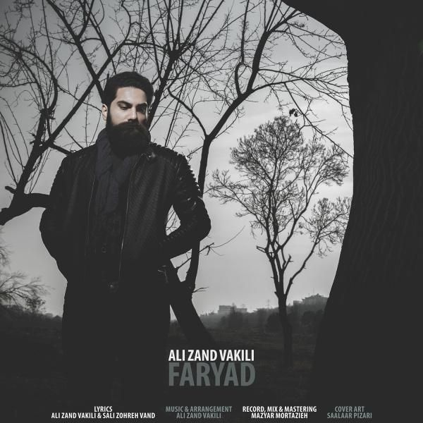 متن آهنگ Faryad از علی زند وکیلی