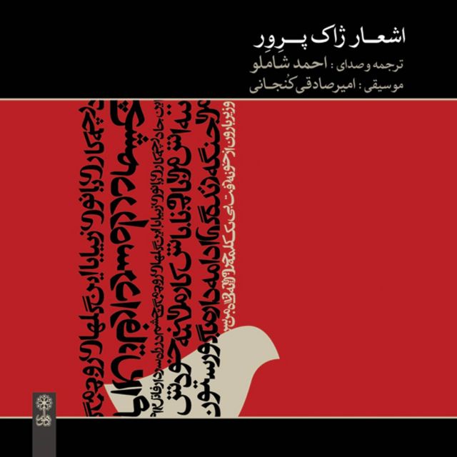 کاور آهنگ این عشق از احمد شاملو