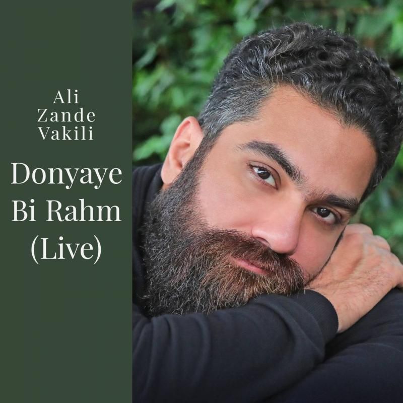 متن آهنگ دنیای بی رحم (اجرای زنده) از علی زند وکیلی