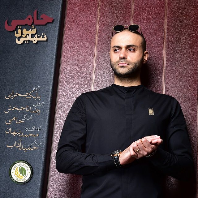 متن آهنگ شوق تنهایی از حمید حامی