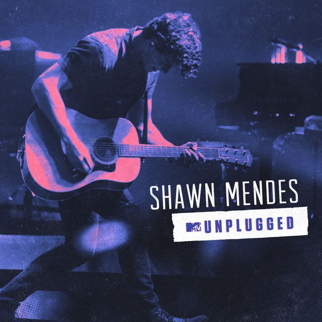 متن آهنگ Stitches - MTV Unplugged از Shawn Mendes
