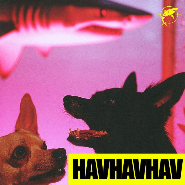 متن آهنگ HAVHAVHAV از Lvbel C5