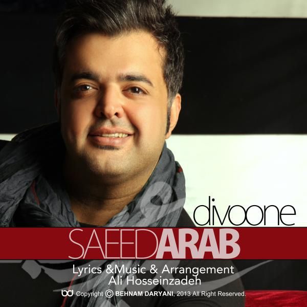 متن آهنگ دیوونه از سعید عرب