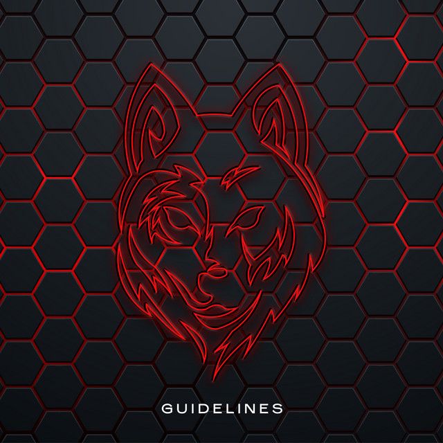 کاور آهنگ Guidelines از Masked Wolf