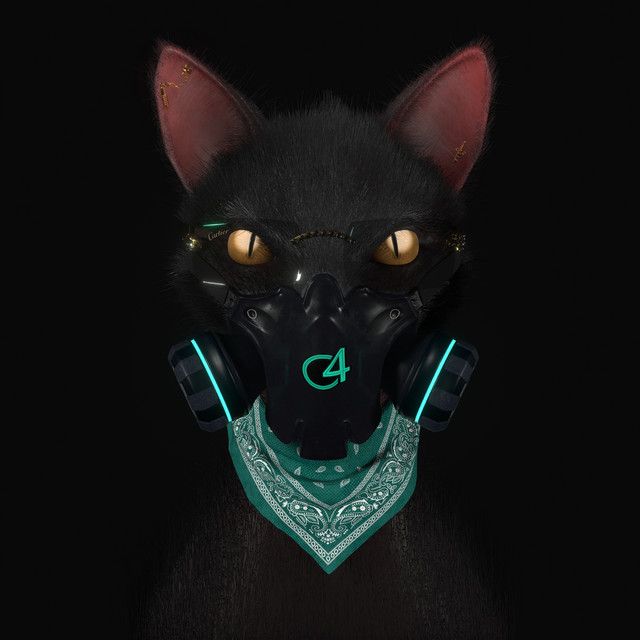 کاور آهنگ Gato de Noche از Bad Bunny