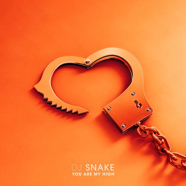 کاور آهنگ You Are My High از DJ Snake