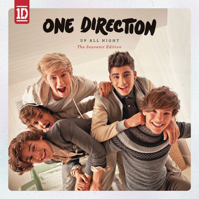 کاور آهنگ Same Mistakes از One Direction