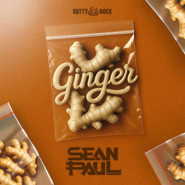 کاور آهنگ Ginger از Sean Paul