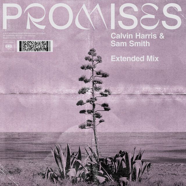 متن آهنگ Promises (with Sam Smith) - Extended Mix از Calvin کاور آهنگ Promises (with Sam Smith) - Extended Mix از Calvin Harris