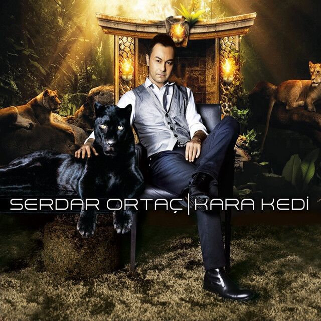 کاور آهنگ Poşet از Serdar Ortaç