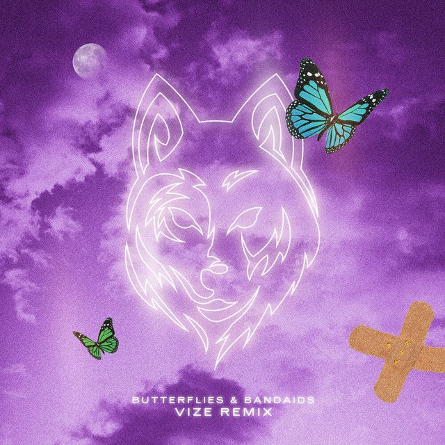 متن آهنگ Butterflies & Bandaids (VIZE Remix) از Masked Wolf