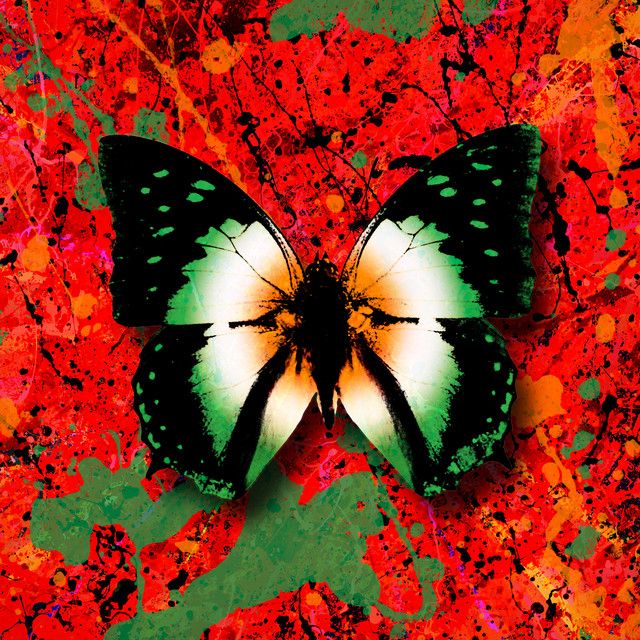 متن آهنگ 2step (feat. Denise Chaila) از Ed Sheeran