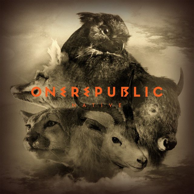 متن آهنگ What You Wanted از OneRepublic
