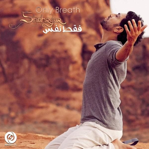 متن آهنگ عاقبت از شهریار