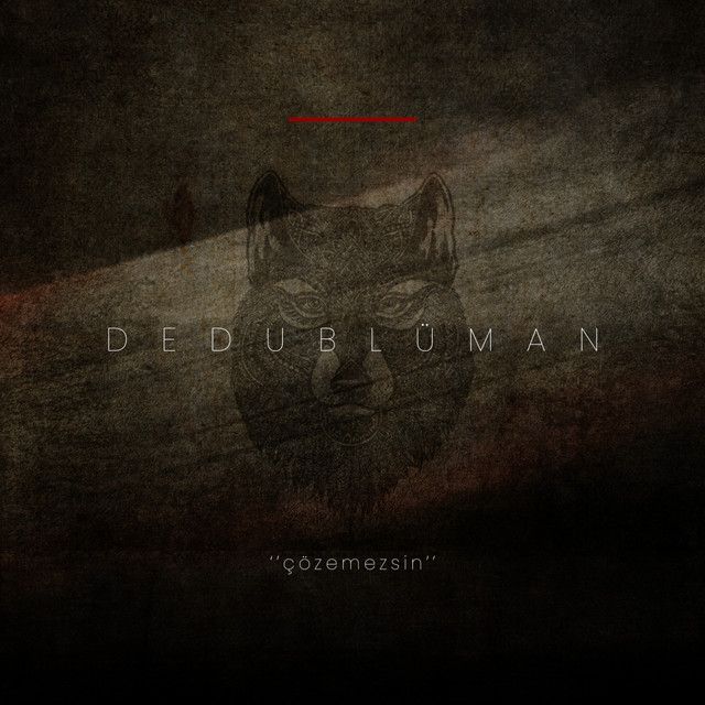 کاور آهنگ Çözemezsin از Dedublüman