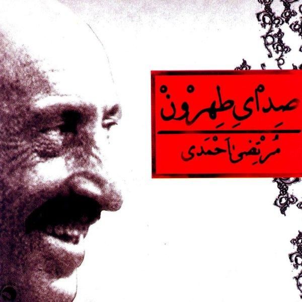 متن آهنگ دلگیر نمیشم از مرتضی احمدی