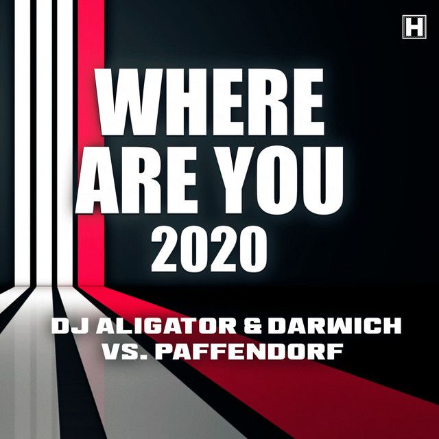 متن آهنگ Where Are You 2020 از DJ Aligator