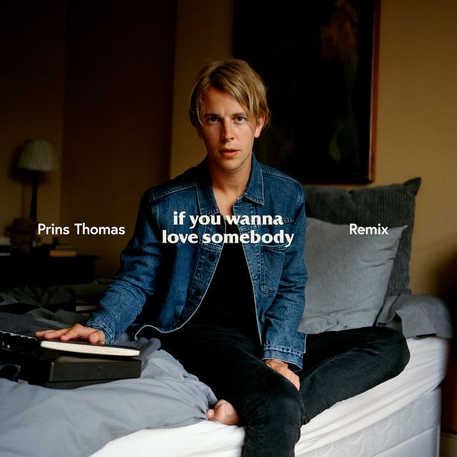 متن آهنگ If You Wanna Love Somebody - Prins Thomas Remix از 