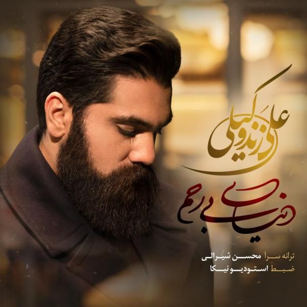 متن آهنگ دنیای بی رحم از علی زند وکیلی