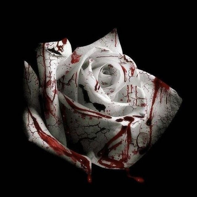 کاور آهنگ Romantic Homicide از d4vd