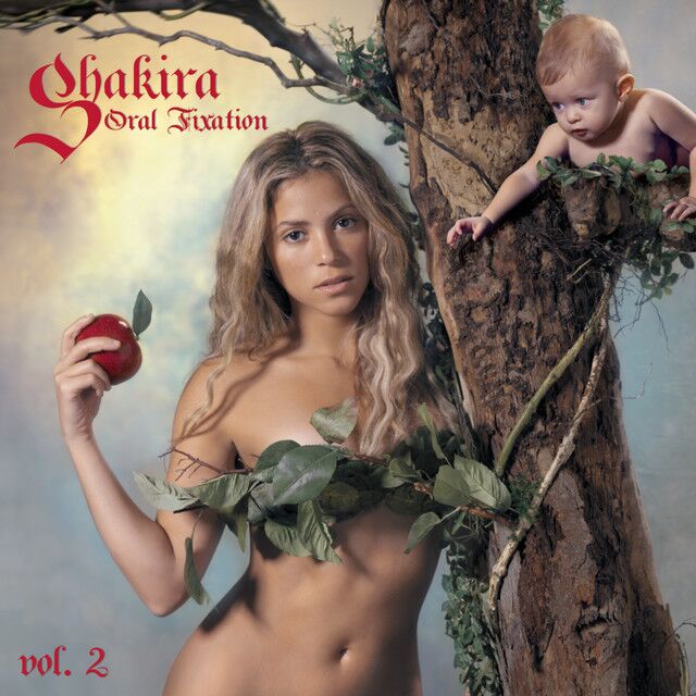 کاور آهنگ Don't Bother از Shakira