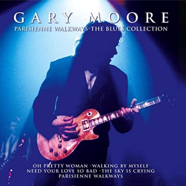 متن آهنگ The Sky Is Crying (Live) از Gary Moore