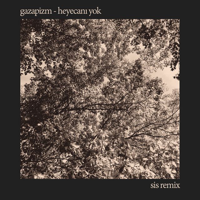 متن آهنگ Heyecanı Yok - SIS Remix از Gazapizm