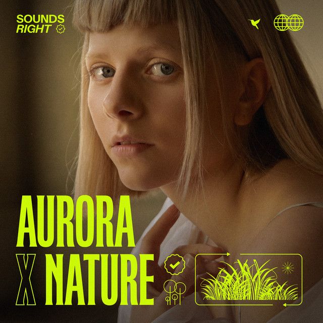 متن آهنگ A Soul With No King - Remix (feat. NATURE) از AUROR