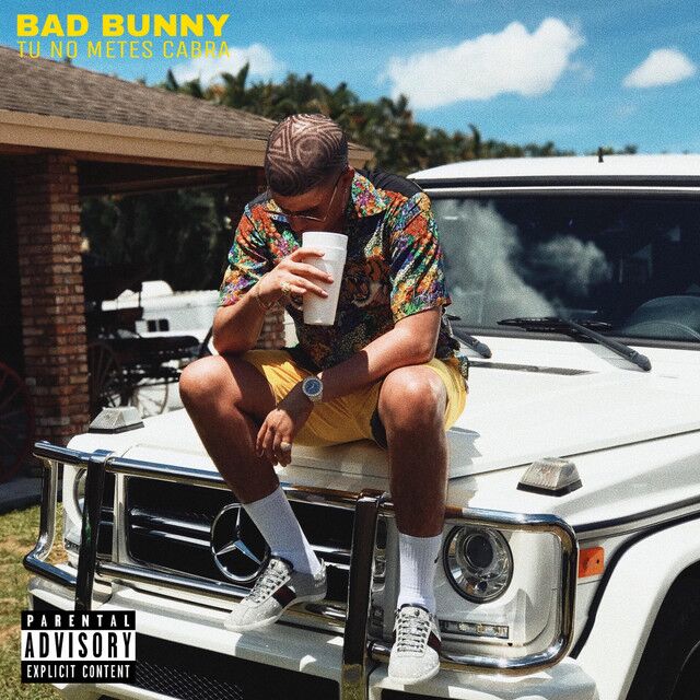 کاور آهنگ Tu No Metes Cabra از Bad Bunny