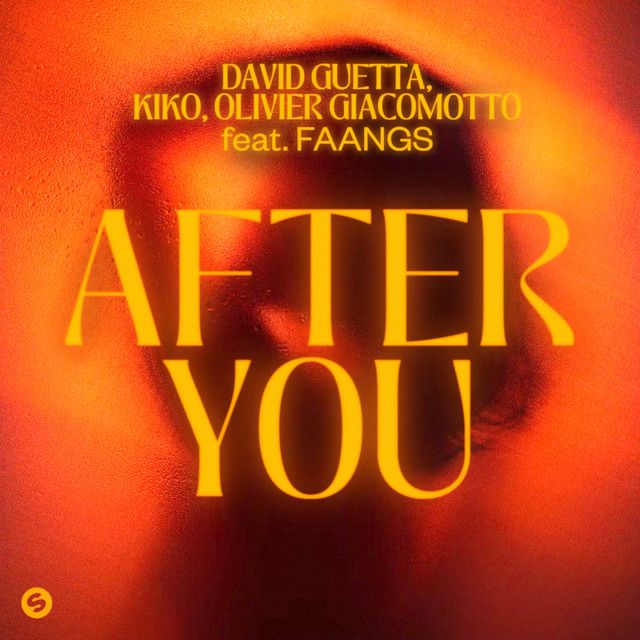 متن آهنگ After You (feat. FAANGS) از David Guetta