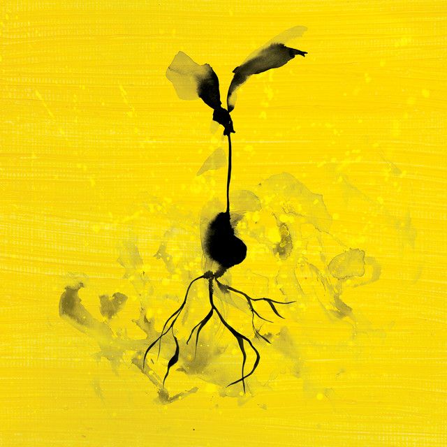 متن آهنگ Life Goes On (feat. Luke Combs) از Ed Sheeran