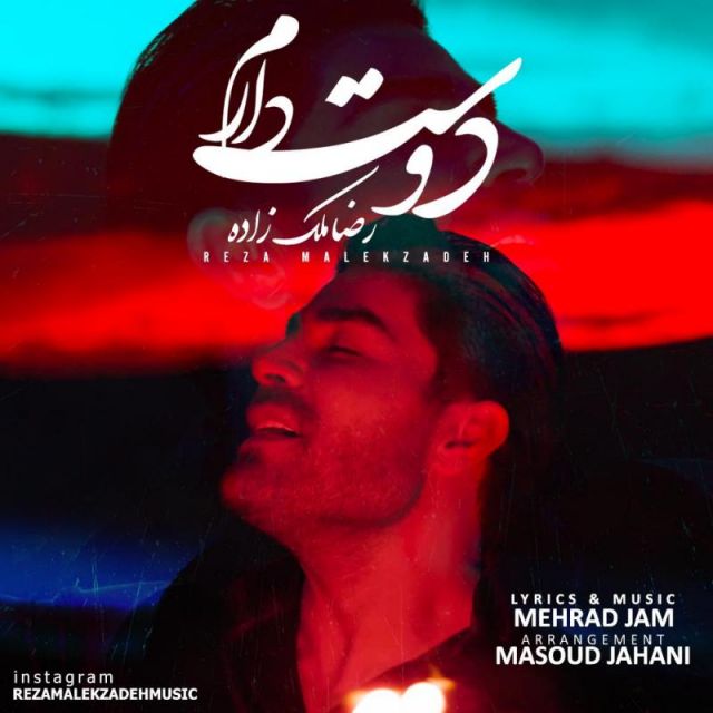 متن آهنگ دوست دارم از رضا ملک زاده