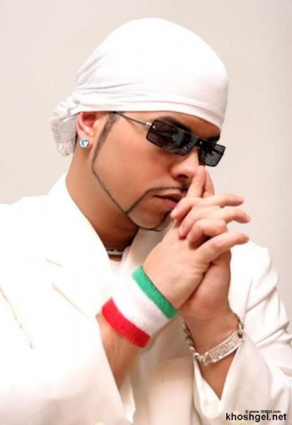 متن آهنگ Protect Your Ears (Album Version) از DJ Aligator