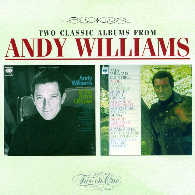 متن آهنگ I Will Wait for You از Andy Williams