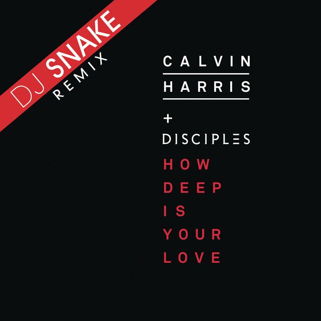 متن آهنگ How Deep Is Your Love - DJ Snake Remix از DJ Snake