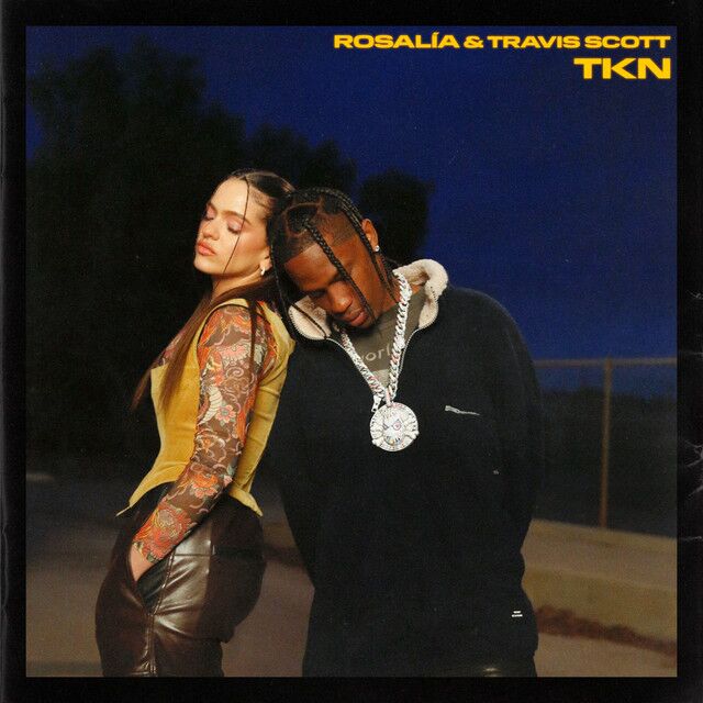 کاور آهنگ TKN (feat. Travis Scott) از Travis Scott