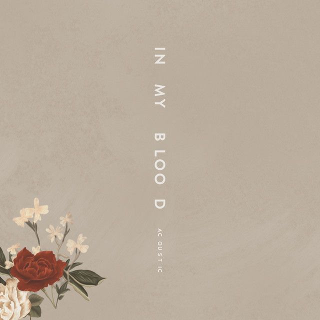 متن آهنگ In My Blood - Acoustic از Shawn Mendes